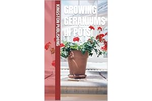 Growing Geraniums in Pots (Growing Potted Flowers)