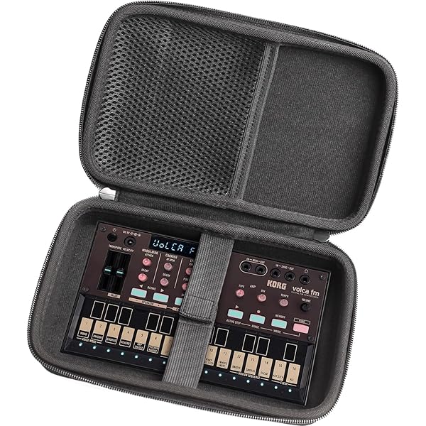 Amazon.com: GEEKRIA Hard Shell Travel Case Compatible with Korg