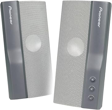 pioneer computer speakers
