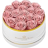 16 Preserved Roses Forever Flowers Real Roses in a Box Mother's Day Birthday Flowers for Her Mom Women Wife Valentine's Day, Dusty Pink Roses