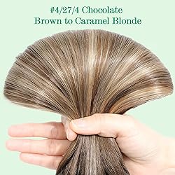 Clip in Hair Extensions Human Hair,Chocolate Brown