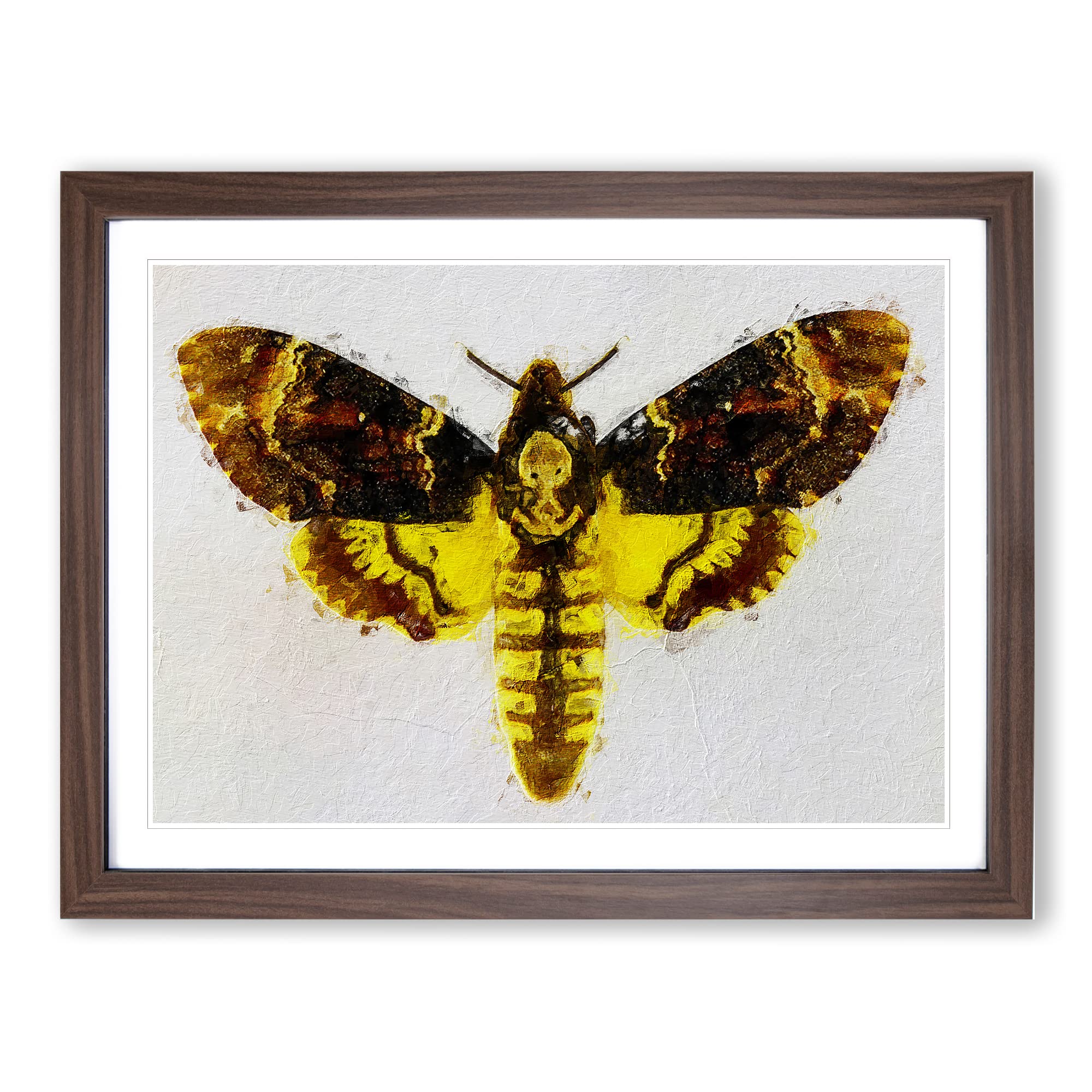 Deaths head Moth Modern Framed Wall Art Print, Ready to Hang Picture for Living Room Bedroom Home Office Décor, Walnut A4 (34 x 25 cm)