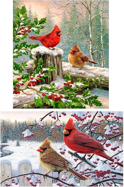 SanerDirect 4 Packs DIY 5D Diamond Painting 12x16 inch Cardinals Bird