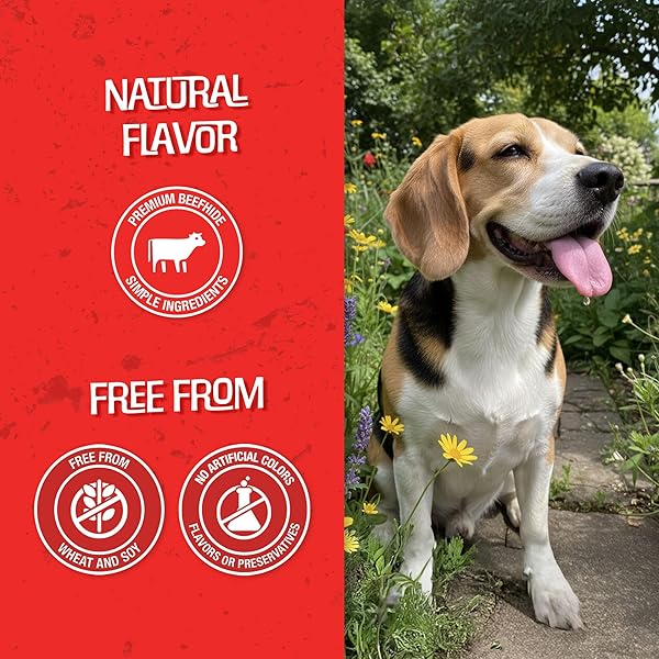 CHOMP’EMS NATURALLY DELICIOUS BULLY STICKS – LONG LASTING NO HIDE DOG CHEWS – NO ARTIFICIAL FLAVORS, COLORS, OR PRESERVATIVES – PROTEIN RICH ALTERNATIVE TO RAWHIDE, 8 OZ.
