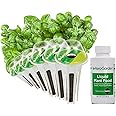 AeroGarden Pesto Basil Seed Pod Kit, 6 pod