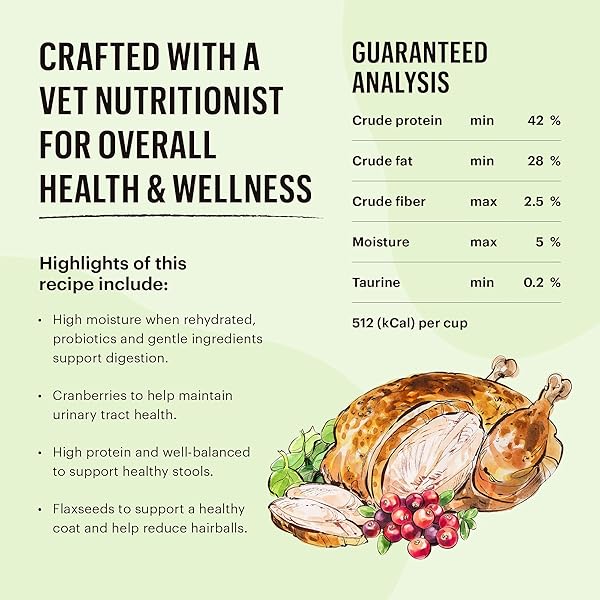 THE HONEST KITCHEN DEHYDRATED GRAIN FREE CHICKEN CAT FOOD, SINGLE SERVE PACK, 1 OZ X10