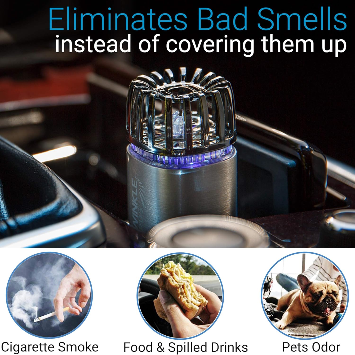 Car Air Purifier Ionizer - 12V Plug-in Ionic Anti-Microbial Car Deodorizer with Dual USB Charger - Smoke Smell, Pet and Food Odors, Allergens, Viruses Eliminator for Car (Matte Silver): Automotive