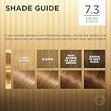 L'Oreal Preference 7.3 Golden Blonde Permanent Hair Dye Grey Coverage Mask view 6
