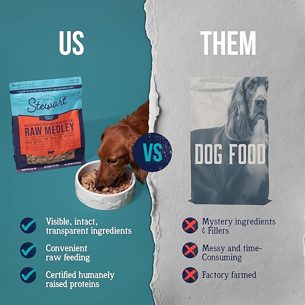 STEWART RAW MEDLEY FREEZE DRIED RAW DOG FOOD OR MEAL TOPPER, BEEF & GARDEN VEGETABLE RECIPE, 3 POUND BAG, MADE WITH REAL WHOLE FOODS