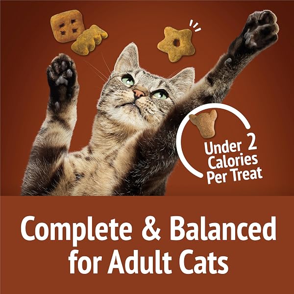 FRISKIES PARTY MIX – WILD WEST CRUNCH – 2.1 OZ