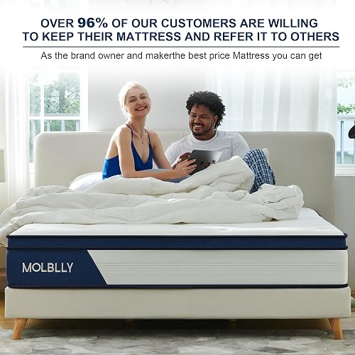 OFFTR Z Queen King Twin Mattress 14″ Medium Firm Hybrid With Memory Foam For Pressure Relief Spinal Alignment Zoned Back Support Motion Isolation Review