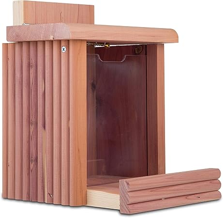 Amazon Com Pennington 100509197 Cedar Squirrel Snacker Feeder