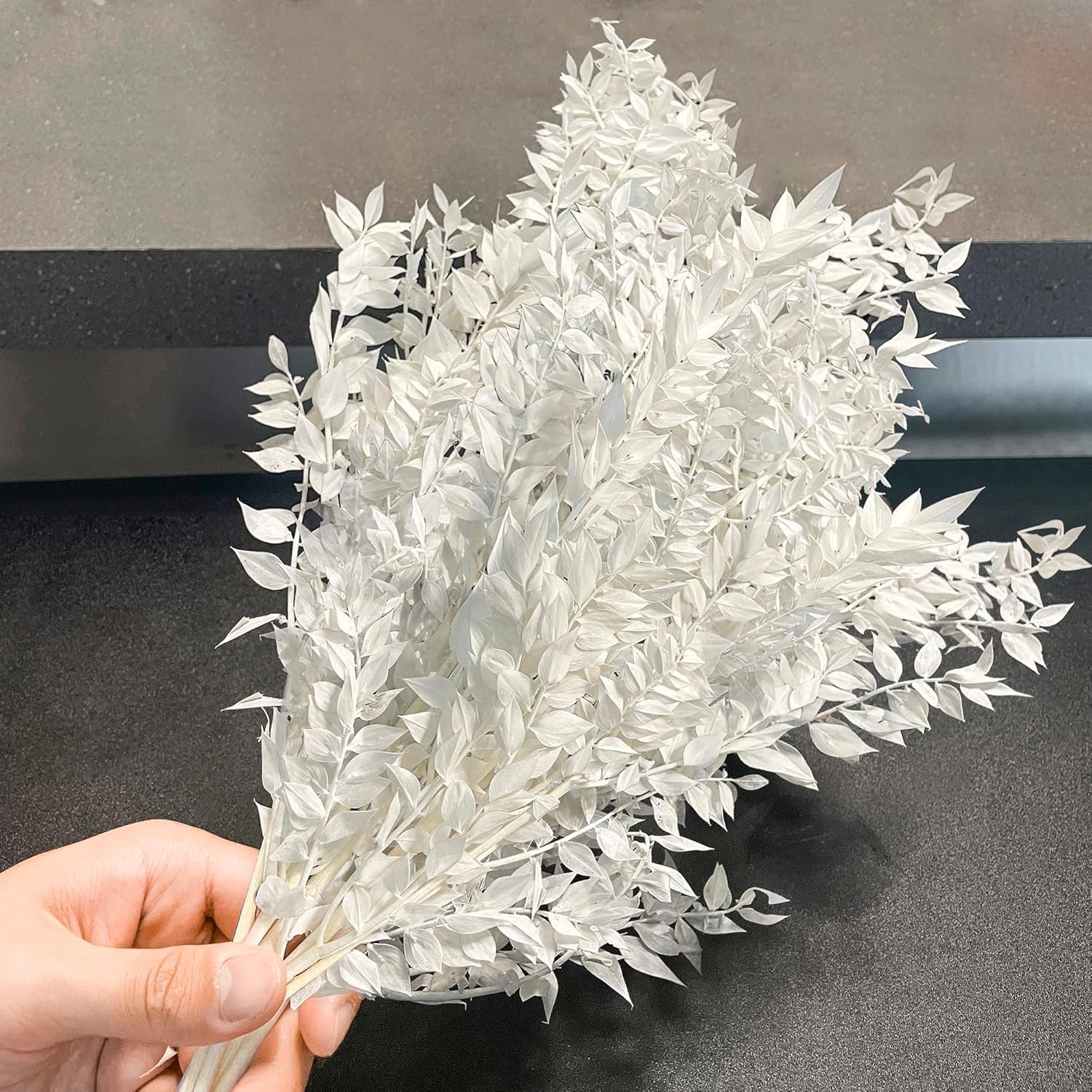 Dried White Ruscus Eucalyptus - 14" Real Preserved Ruscus Stem Branches, Natural White Dried Flower Plants Pampas Greenery Bunch for Boho Wedding Party, Home Decor, Vase Filler