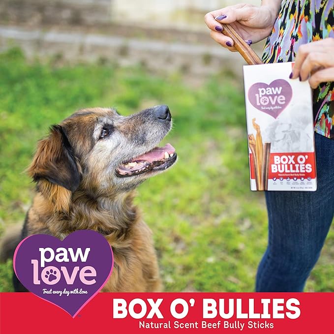 bully chew box