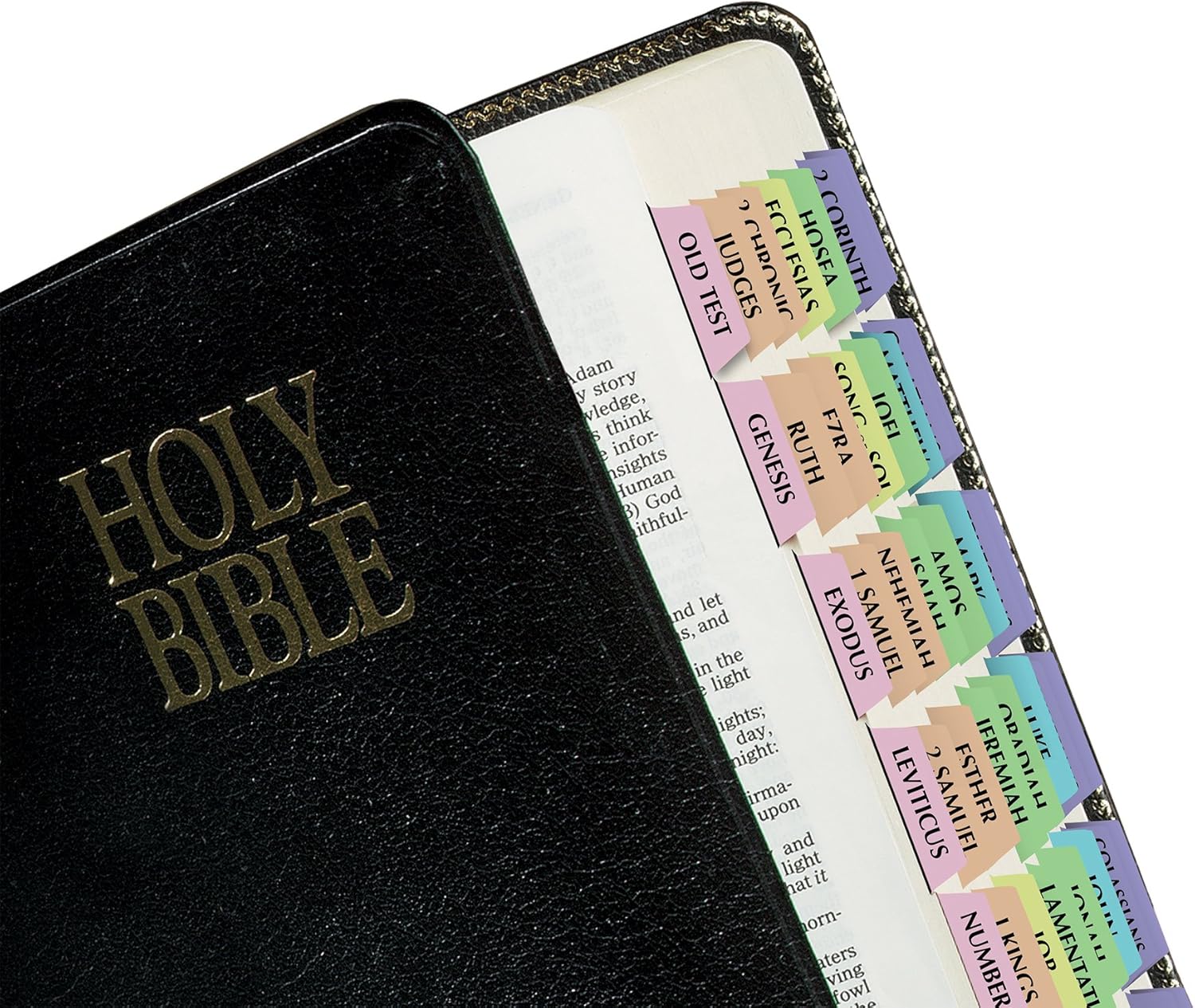 Tabbies Rainbow Bible Indexing Tabs, Old & New Testaments, 80 Tabs Including 64 Books & 16 Reference Tabs, Multi-Colored (58346) : Books : Office Products