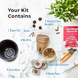 Grow Buddha Grow Your Own Bonsai Starter Kit – 4 Trees for Beginners view 2