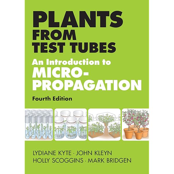 Amazon.com: Advances in Phage Display: A Laboratory Manual