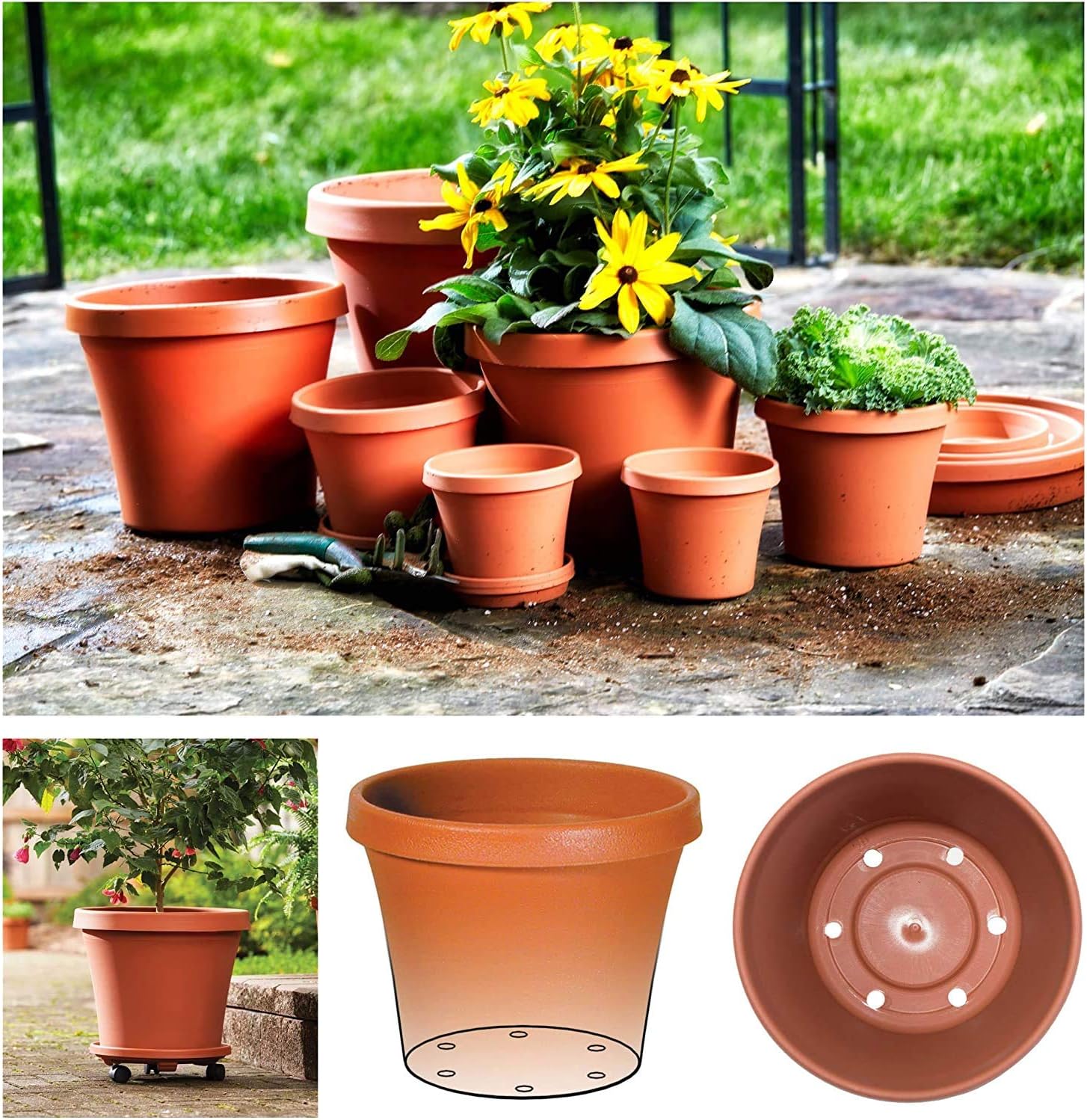 Bloem Terra Plastic Pot Planter 6" Terra Cotta: Garden & Outdoor