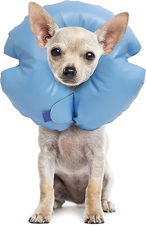 inflatable e collar petco