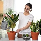 Relaxdays Self-Watering Spikes, 4x Clay Waterer for Indoor & Outdoor Plants view 3