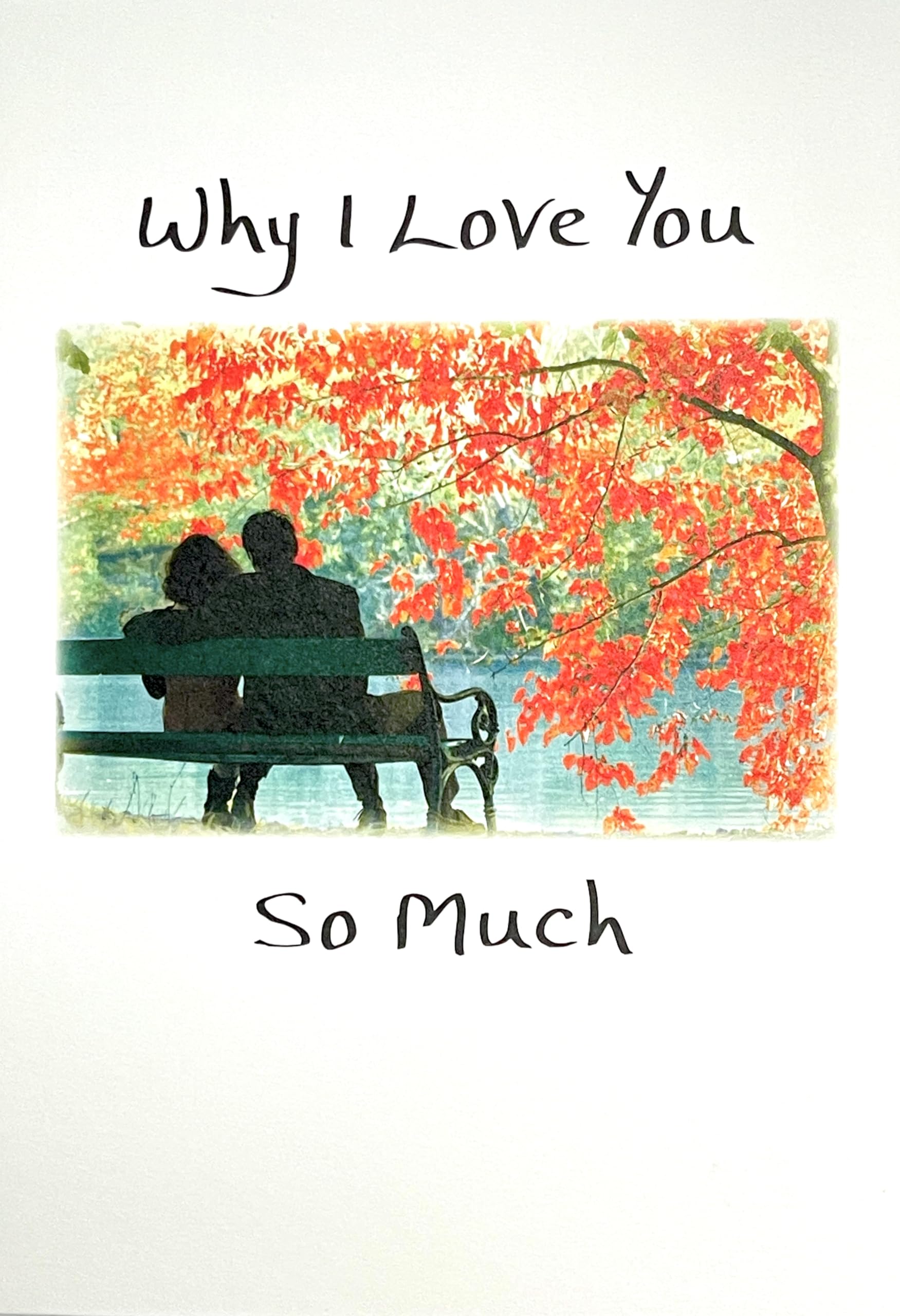 Why I Love You So Much - Pix & Pagels Heartfelt Sentimental Verses Fold Out Keepsake Greeting Card (I Love You)