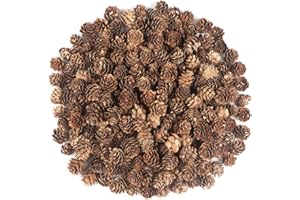 SONGJUM 240PCS Pine Cones Christmas Natural Pinecones Small Pine Cones for Home Party Crafts Gift Wedding Christmas Tree Decoration