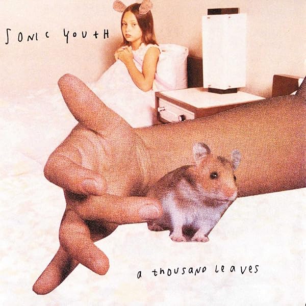 Sonic Youth - A Thousand Leaves[2 LP] - Amazon.com Music
