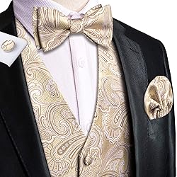 Hi-Tie Mens Suit Vest Bowtie Set Ties for Men V