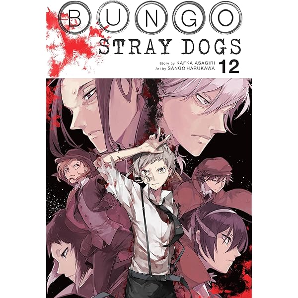 Amazon.com: Bungo Stray Dogs, Vol. 13 (Volume 13): 9781975304553