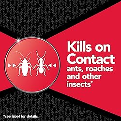 Raid Max Ant and Roach Spray