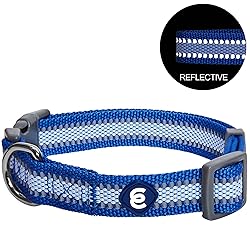 Blueberry Pet Large Dog Collar in Reflective Navy