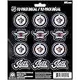 FANMATS NHL Unisex-Adult NHL Mini Decal 12-E2pk