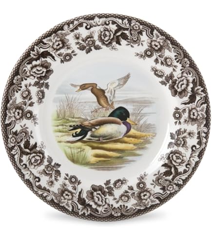 Amazon.com: Spode 1606319 Luncheon Plate, Multicolor : Home & Kitchen