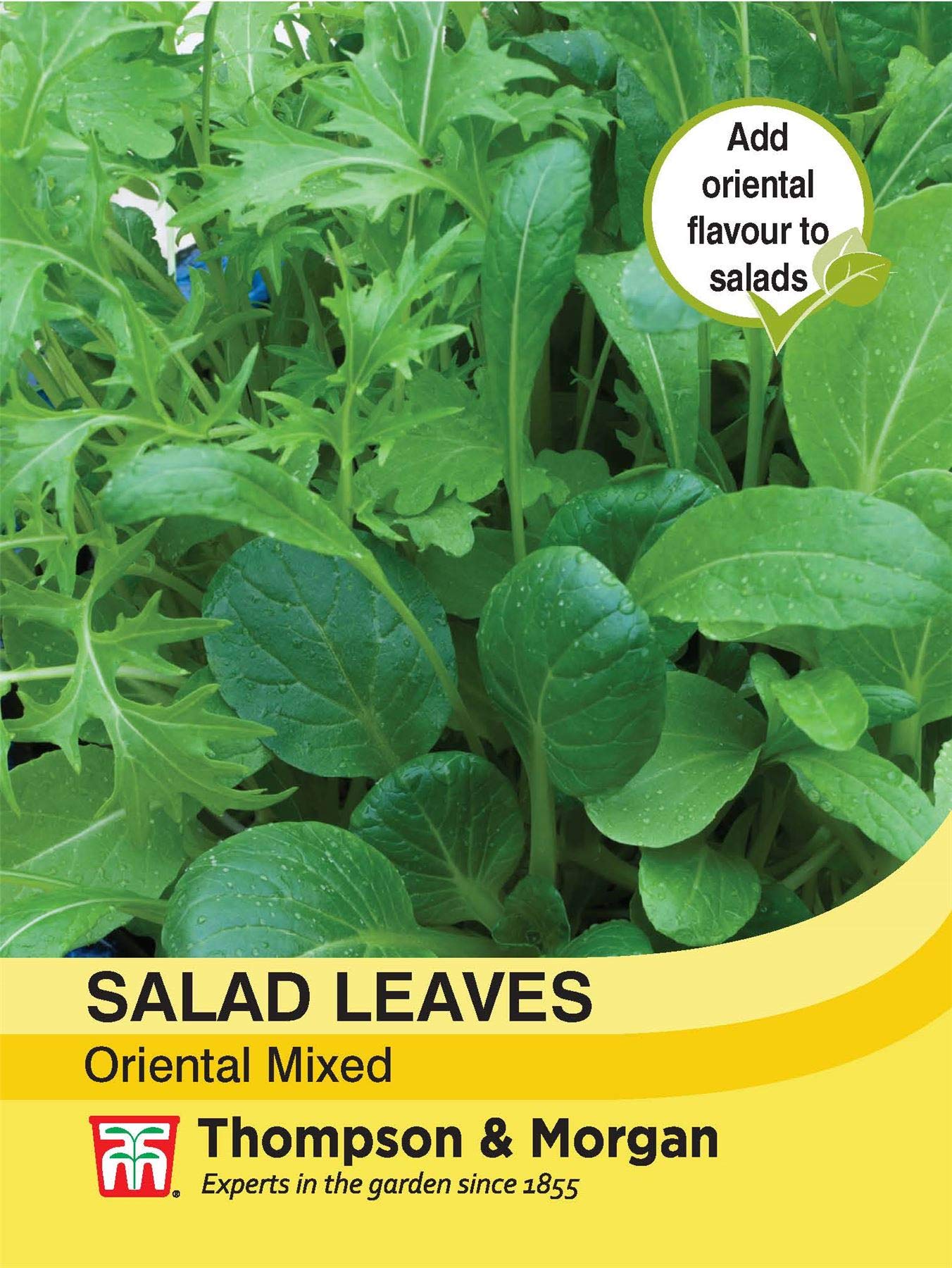 Thompson & Morgan - Vegetables - Salad Leaves - Oriental Mixed - 500 Seed