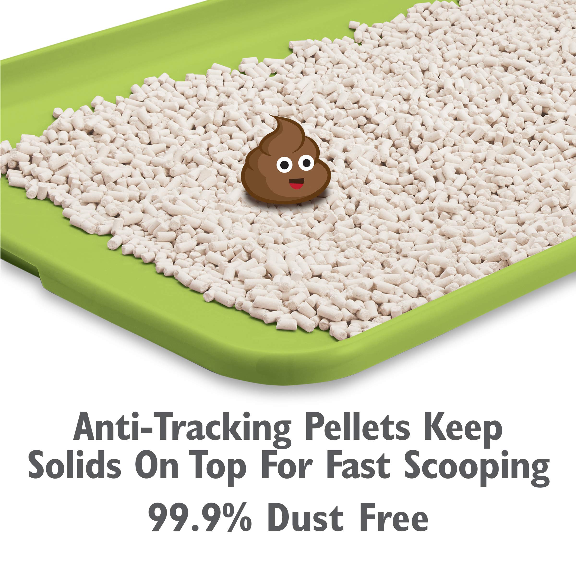 Purina Tidy Cats Non Clumping Litter System, Breeze XL All-in-One Odor Control & Easy Clean Multi Cat Box