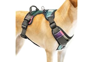 EMBARK PETS Embark Urban Dog Harness, No Pull Dog Harness with 2 Leash Clips, Dog Harness for Large Dogs No Pull. Front & Back with Control Handle, Adjustable Black Dog Vest, Soft & Padded for Comfort