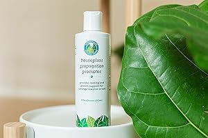 Houseplant Propagation Promoter & Rooting Hormone, Root Stimulator, Plant Starter Solution for Growing New Plants from Cuttings (Formulated for Fiddle Leaf Fig or Ficus Lyrata)