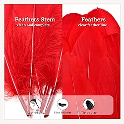 FeelfunFeather 120pcs Red Goose Feathers 6-8 Inch