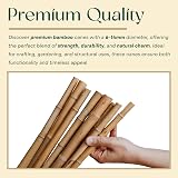 BPIL Bamboo Plant Canes 2ft-10ft Heavy Duty Garden Stake 14-16mm view 3