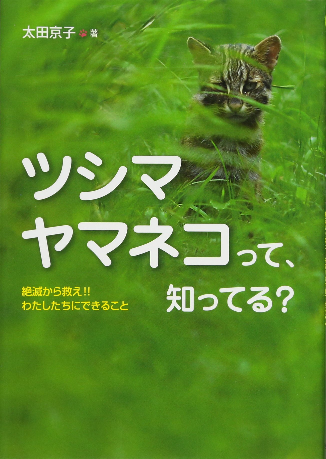 ツシマヤマネコって 知ってる 絶滅から救え わたしたちにできること ノンフィクション 生きるチカラ2 太田 京子 本 通販 Amazon