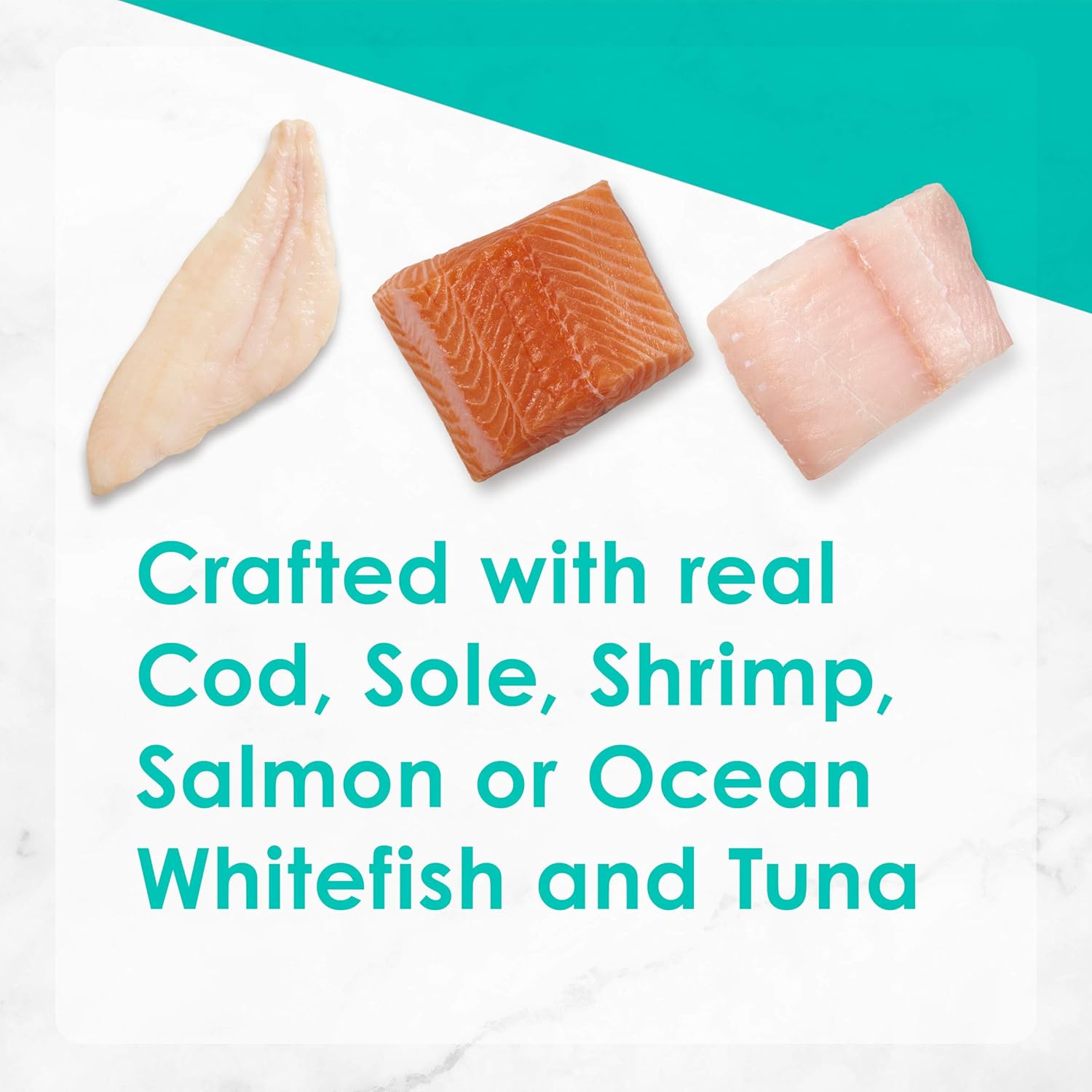 Purina Fancy Feast Grain Free Pate Wet Cat Food Variety Pack, Seafood Classic Pate Collection - (2 Packs of 12) 3 oz. Cans : Canned Wet Pet Food : Pet Supplies