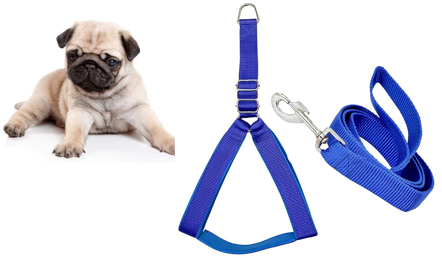 pug dog body belt
