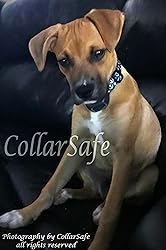 CollarSafe Designer Replacement Collar FIT PetSafe