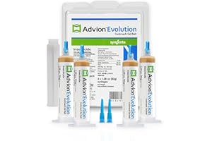 SYNGENTA Advion Evolution Cockroach Gel Bait, 4 Tubes x 30-Grams, 1 Plunger and 2 Application Tips, Formulated with Indoxacarb, Enhanced Formulation, Ready-to-Use Roach Killer for Indoor and Outdoor Use