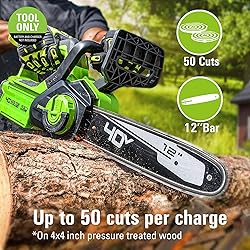 Greenworks 40V 12" Cordless Compact Chainsaw