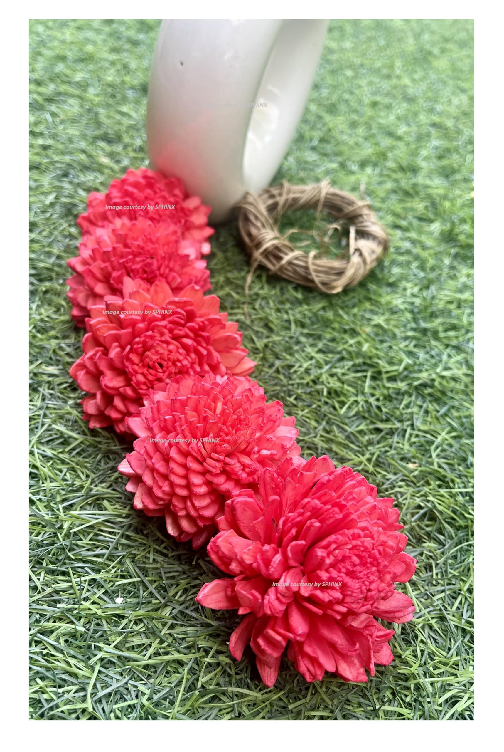 Photo 1 of SPHINX Sola Zinnia/Daisy Flowers for Festive Decor, Christmas Decorations Pooja Decor Wedding Housewarming Table Decorations - ((Diameter Approx 6 cms) - 20 Pieces, Red)