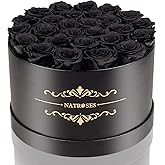 NATROSES Gifts for Her 27 Piece Forever Preserved Roses in a Box, Preserved Flowers for Delivery Birthday, Flowers Gifts for Mothers Day, Black