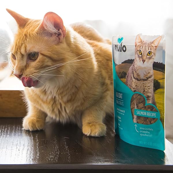 NULO DIGESTIVE HEALTH FUNCTIONAL TREATS GRAIN-FREE WITH BC30 PROBIOTIC CHICKEN RECIPE FOR CATS & KITTENS 4OZ