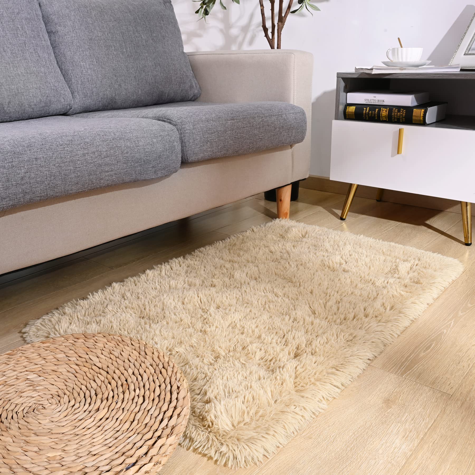Photo 1 of DETUM 2x3 Rug Small Beige Rug Fluffy Rugs for Bedroom Kicthen Entryway Hallyway Washable Area Rug Super Soft Throw Carpet Plush Rugs for Kids, Light Tan