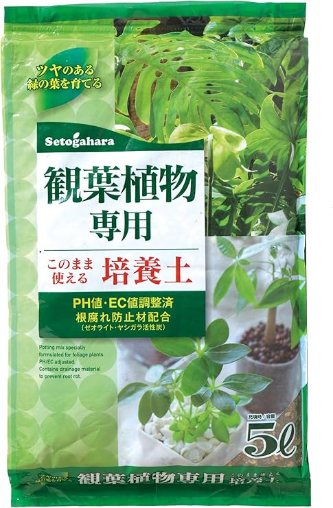 Amazon 瀬戸ヶ原花苑 観葉植物専用 培養土 5l 用土 Amazon 瀬戸ヶ原花苑 観葉植物専用 培養土 5l 用土